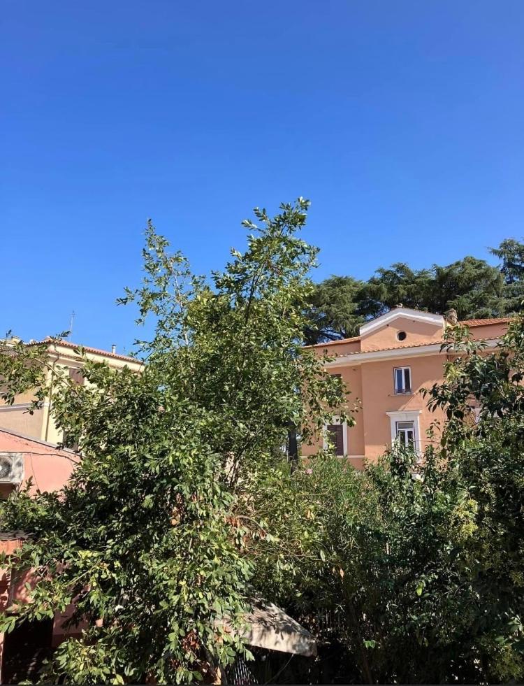 Casa Di Vivi, Comoda Per Il Centro, Il Vaticano Ed Il Gemelli Roma Ngoại thất bức ảnh